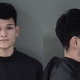 Image for article titled Last of the Great Teen Lovers Arrested for Stealing Discount Vibrator